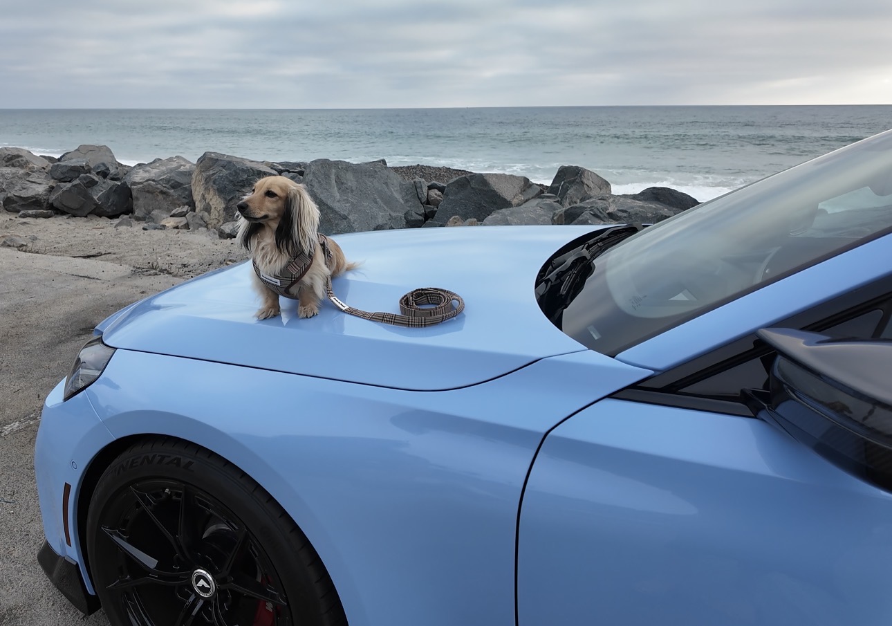 Mia wearing the authentic Grand Tourer harness beside the coast on a blue BMW